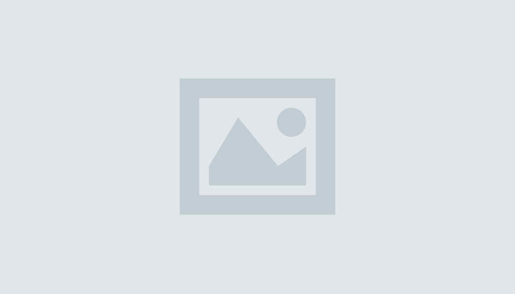 Lorem Ipsum. Proin gravida nibh vel velit auctor aliquet. Aenean sollicitudin, lorem quis bibendum auctor,